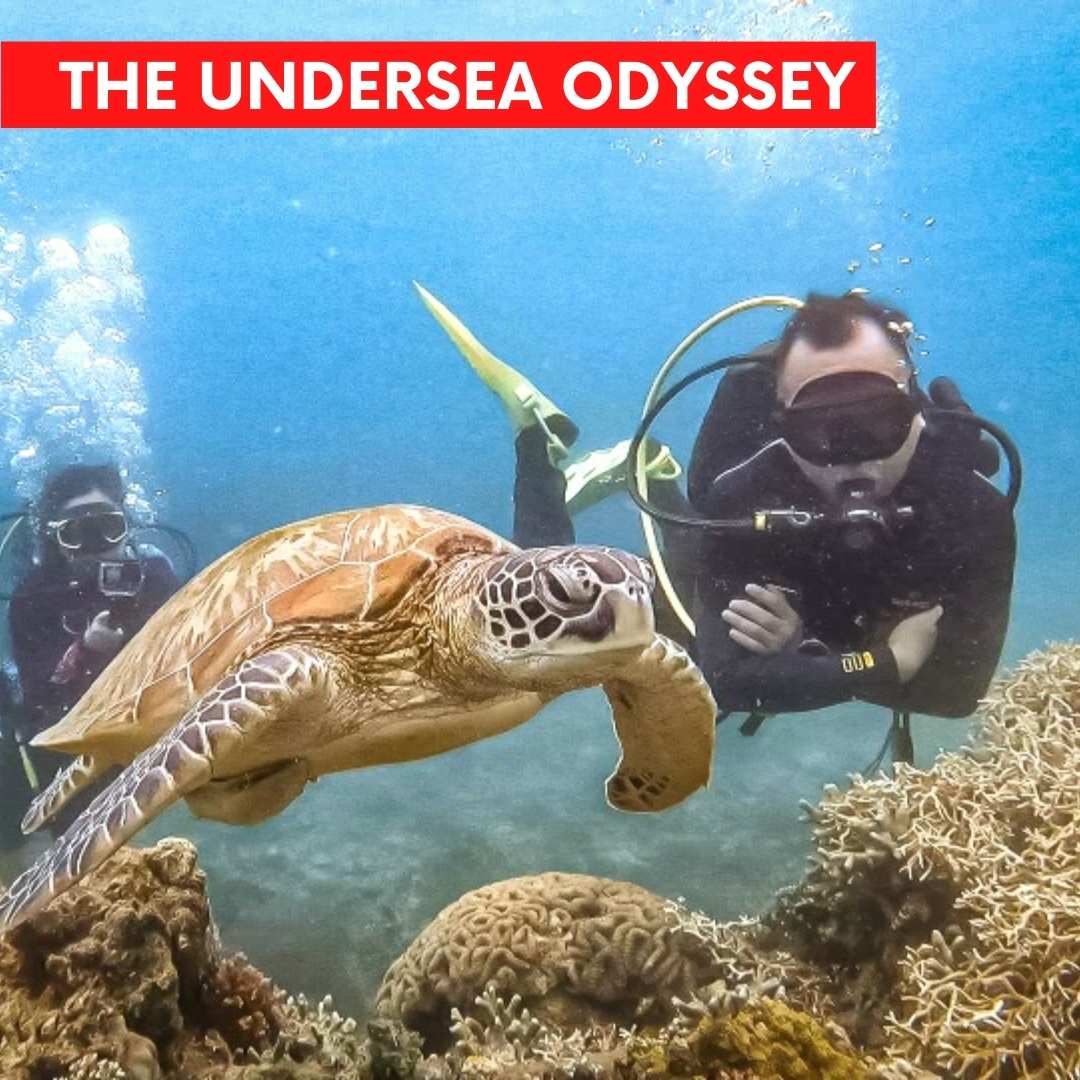 Quest Board: The Undersea Odyssey